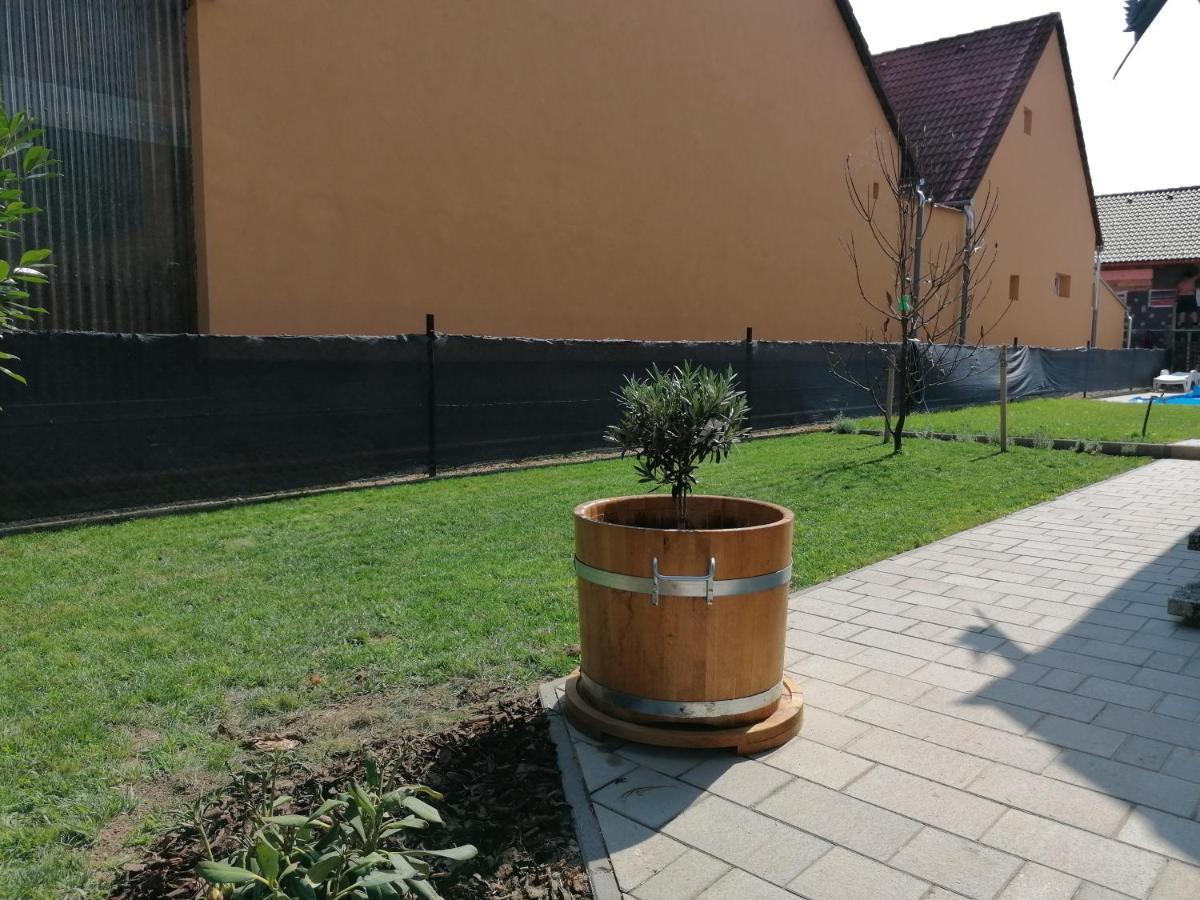 Apartament Lili